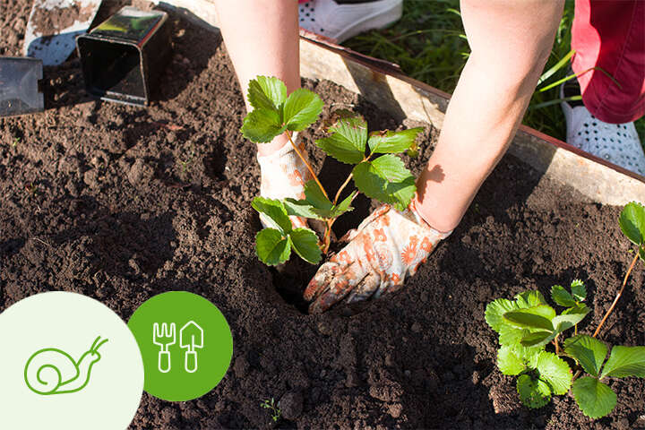 themenwelt schutz vor schädlingen natürlich vorbeugen